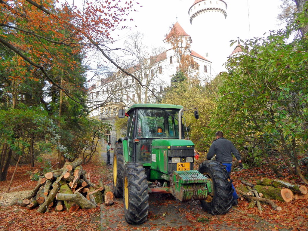8. brigáda 8.11.2014 - pomáháme správě zámku s likvidací nebezpečných dřevin na jižní zámecké stráni a v Růžové zahradě